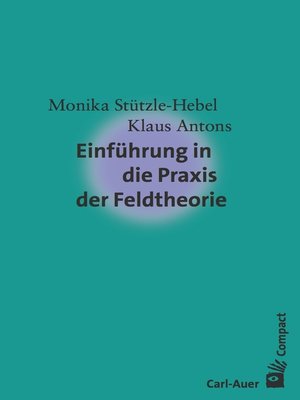 cover image of Einführung in die Praxis der Feldtheorie